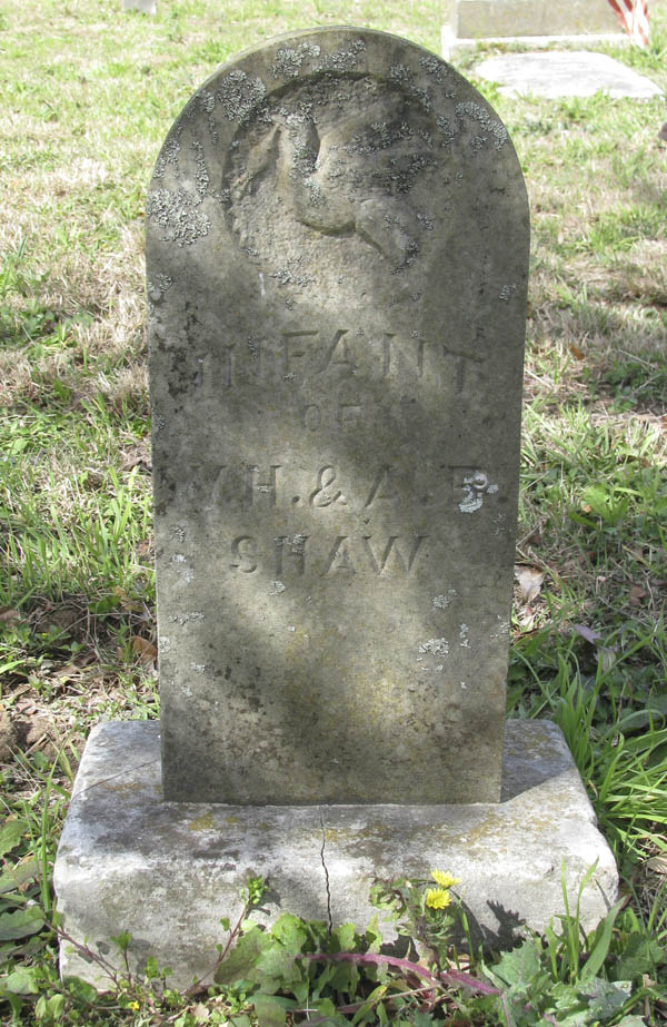 Infant Shaw tombstone